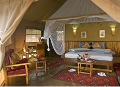 Camp Suite